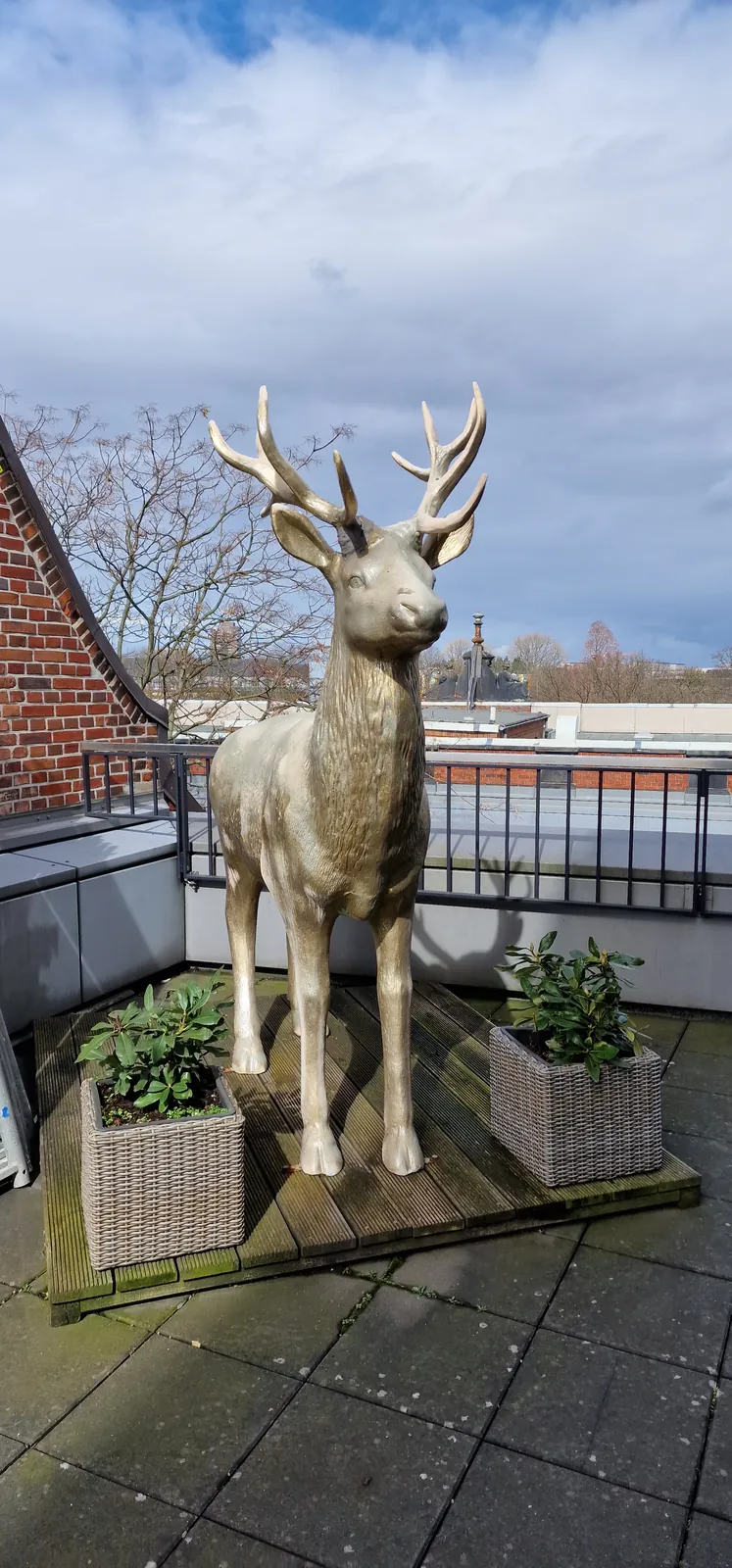 Marke & Momente von Rohrgerüstbau Pronin – Gerüstbau Hamburg